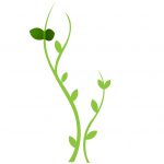 מתלה-מעוצב-בשילוב-מדבקת-קיר-של-רהיטי-דורון-מחיר-99-שח-צילום-יחצ-רהיטי-דורון